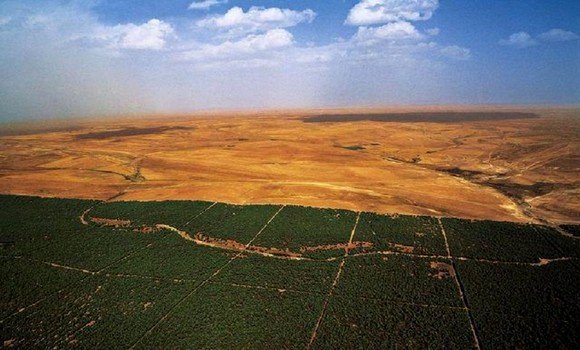 إعادة تأهيل السد الأخضر..انطلاق عمليات برنامج 2025 قبل نهاية جوان - الشعب أونلاين