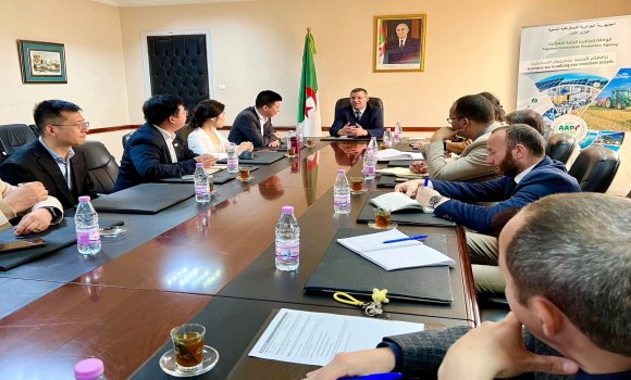 ألواح شمسية: شركة 