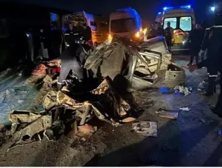 شرطة سيدي بلعباس تحجز ما يقارب 12 قنطارا من مادة الموز كانت موجهة للمضاربة