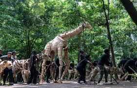 Planète (République démocratique du Congo/Afrique) - «The Herds», un troupeau de marionnettes en marche pour le climat