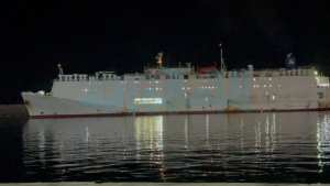 وصول ثاني باخرة محملة بالماشية الى وهران على متنها قرابة 31 الف رأس