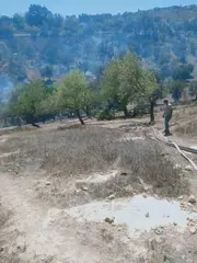 معسكر :وفاة شخص بصعقة كهربائية بقرية المناصرية