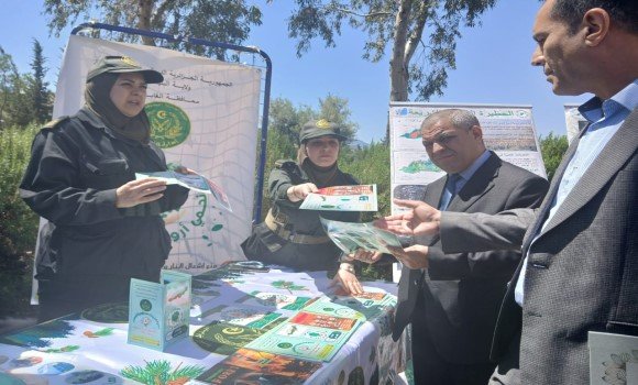 البليدة: إطلاق الأسبوع الوطني التطوعي للنظافة ومكافحة حرائق الغابات