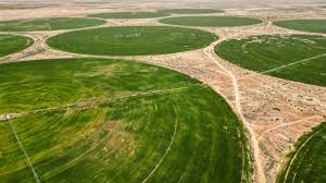 Planète (Asie) -  Pour cultiver le blé, l'Irak puise dans ses nappes phréatiques malgré les risques d'épuisement