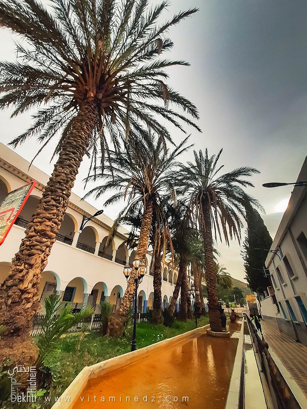 حمام الصالحين: جوهرة رومانية علاجية في قلب الأوراس