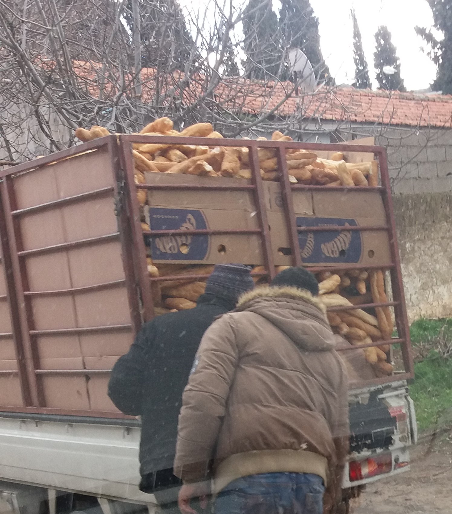 Gaspillage du pain (baguettes) en Algérie : un défi urgent à relever