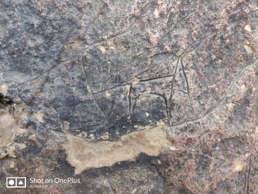 L’abri rupestre de Djelal : une fenêtre sur la préhistoire