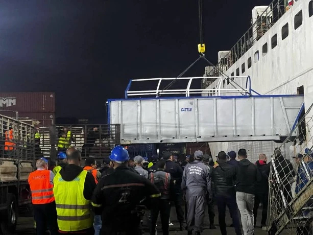 وصول باخرة محملة بأزيد من 8 آلاف رأس غنم من رومانيا إلى ميناء عنابة