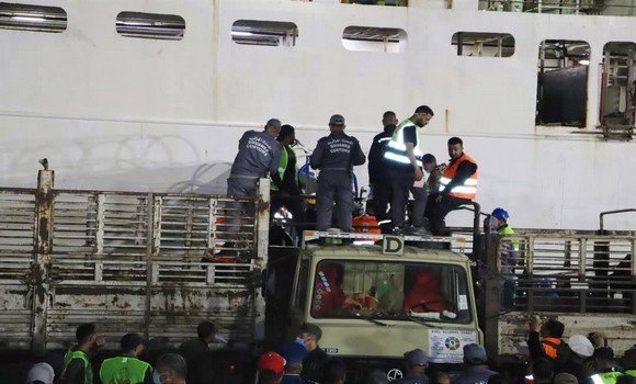 وصول باخرة محملة بأزيد من 8 آلاف رأس غنم من رومانيا إلى ميناء عنابة