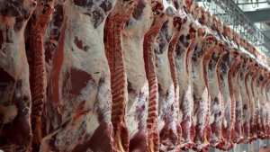 7 سنوات حبس نافذ لشخص بسوق أهراس بتهمة المضاربة غير المشروعة في اللحوم