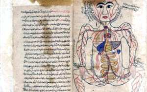 Le «Canon de la Médecine» d’Avicenne : Un trésor à la bibliothèque nationale