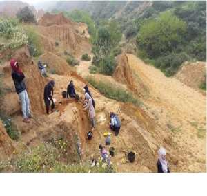 Wadi Al-Rayeh : Un site paléolithique unique sur la côte ouest algérienne