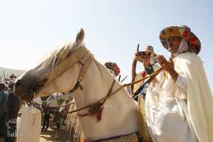 الرابطة الولائية للفروسية #تلمسان