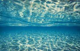 Planète - Une méduse fantôme géante observée par des scientifiques en Antarctique