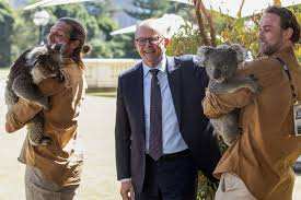 Planète (Océanie) - En Australie, les animaux disparaissent et les politiciens regardent ailleurs