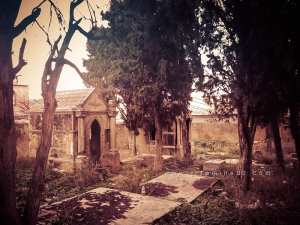 Bréa (Abou Tachfine) : Un village historique près de Tlemcen