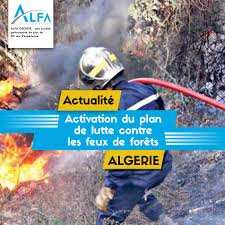 Algérie - Incendies: 22 unités aériennes et des drones pour surveiller les forêts