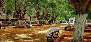 Le jardin  La Roseraie , situé en plein centre-ville d’Oran