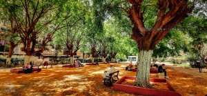 حديقة خميستي الواقعة في قلب مدينة وهران