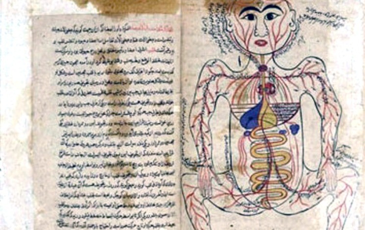 Le «Canon de la Médecine» d’Avicenne : Un trésor à la bibliothèque nationale