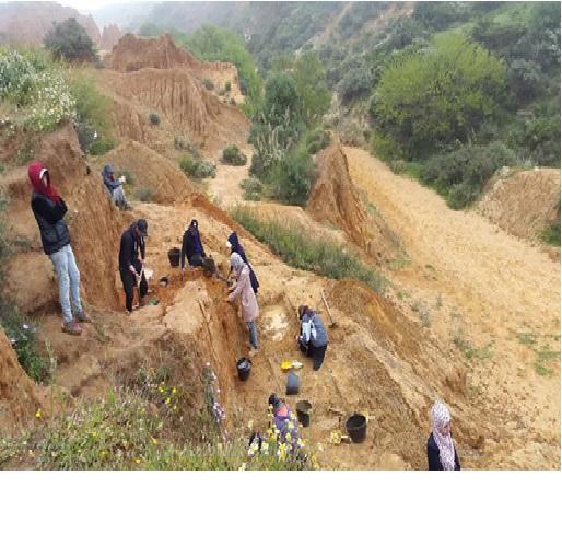 Wadi Al-Rayeh : Un site paléolithique unique sur la côte ouest algérienne
