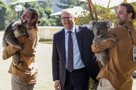 Planète (Océanie) - En Australie, les animaux disparaissent et les politiciens regardent ailleurs