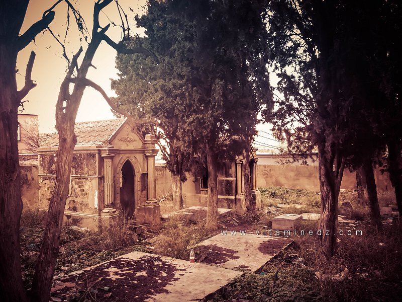 Bréa (Abou Tachfine) : Un village historique près de Tlemcen