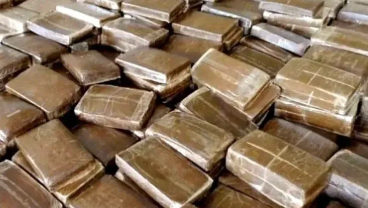 وهران.. إيداع 5 أشخاص الحبس المؤقت وحجز 9 كلغ من القنب الهندي و847 ألف قرص مهلوس