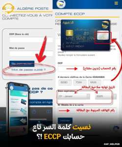 ⁉️نسيت كلمة السر تاع حسابي ECCP، ما العمل !؟