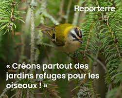 Planète - «Créons partout des jardins refuges pour les oiseaux !»