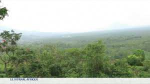 Planète (Afrique) - RD Congo: le parc des Virunga célèbre ses 100 ans