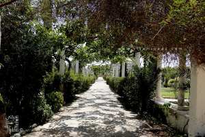 Jannat Al-Arif, Fondation Méditerranéenne pour le Développement Durable à Mostaganem