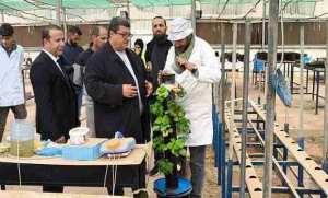 جامعة الجلفة: إطلاق غراسة نموذجية لشجرة الأرقان بدار التجارب