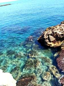 Algérie - Un projet pilote dans le cadre de la coopération algéro-japonaise: Tipasa, des récifs artificiels pour soutenir la pêche