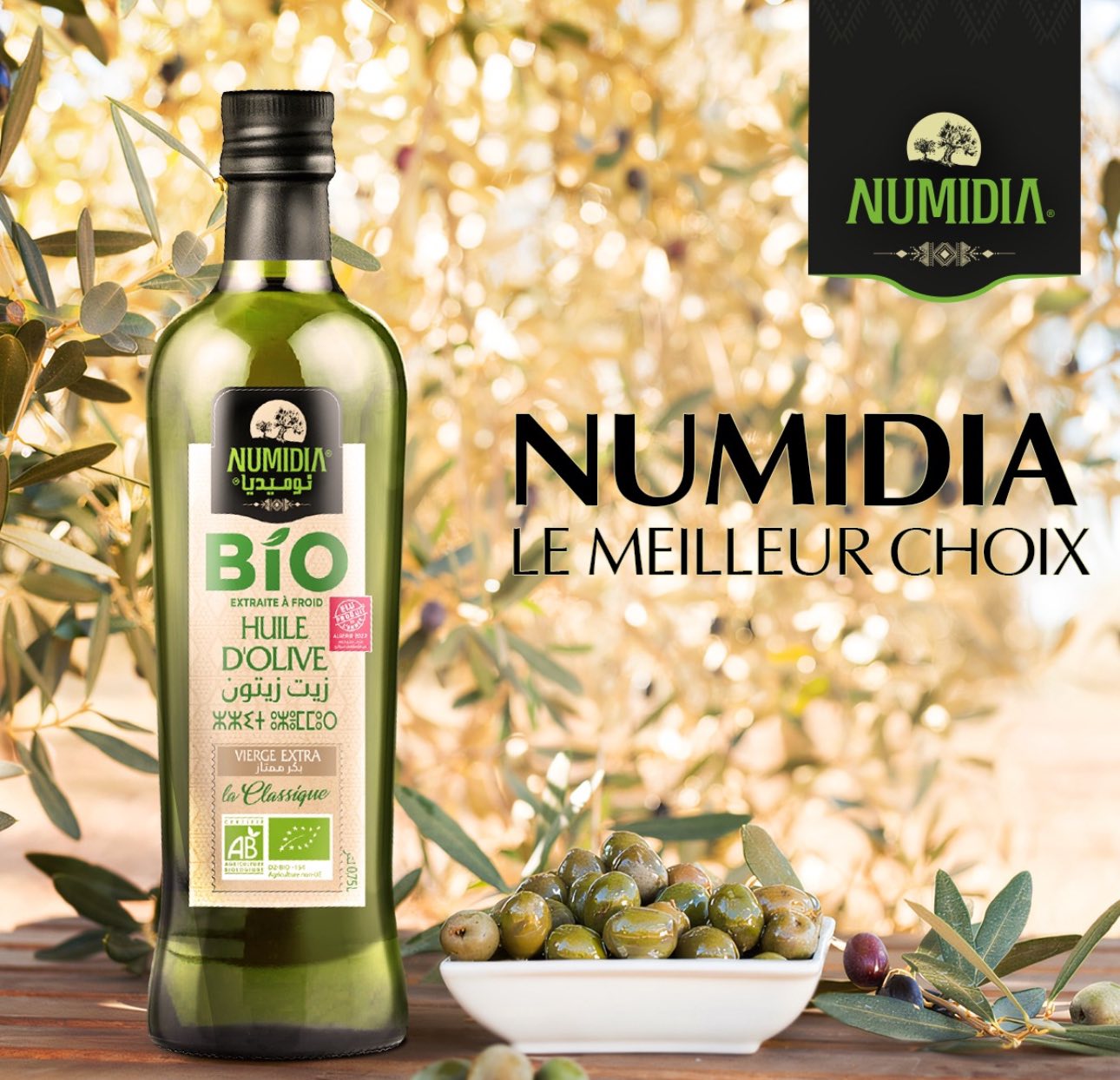 Algerian Olive Oil Shines with 8 Medals at EIOOC 2025 in Geneva