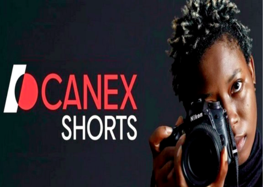 Un fonds d'un milliard de dollars pour le cinéma africain