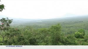 Planète (Afrique) - RD Congo: le parc des Virunga célèbre ses 100 ans