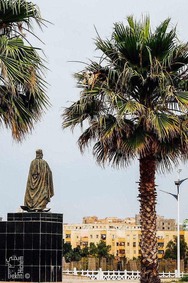 الشيخ حمادة، أحد أعمدة الأغنية البدوية