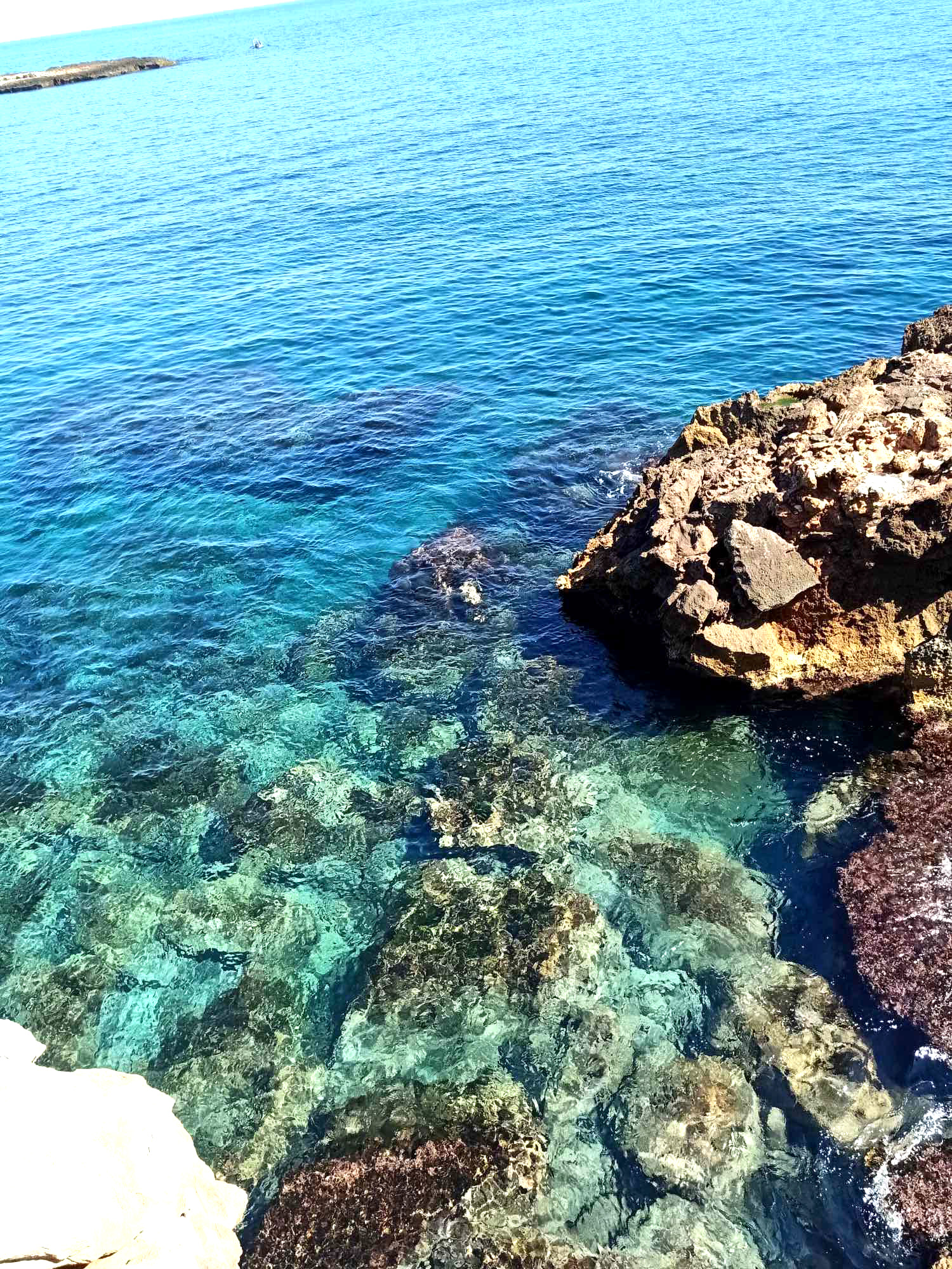 Algérie - Un projet pilote dans le cadre de la coopération algéro-japonaise: Tipasa, des récifs artificiels pour soutenir la pêche