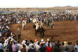 📅 برنامج الوعادي لشهر ماي 2025