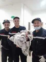 الشلف: الإطاحة بشبكة إجرامية مختصة في صناعة والمتاجرة بخراطيش الصيد بطريقة  غير قانونية