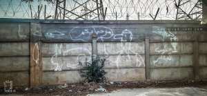 Le sens des graphitis peints sur les murs (Tags)