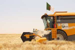 انطلاق حملة الحصاد والدرس بورقلة - الشعب أونلاين