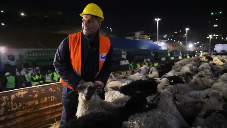 رسو باخرة جديدة مُحمّلة بــ 20 ألف رأس غنم بميناء وهران