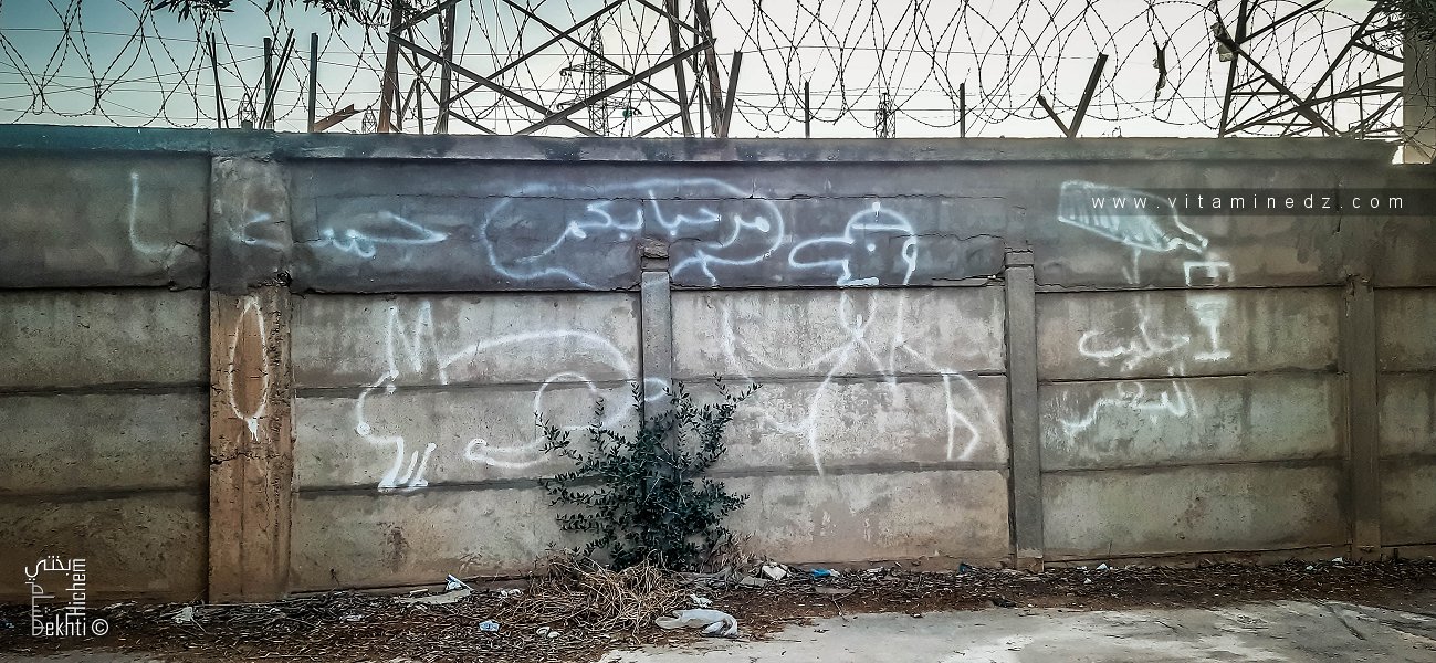 Le sens des graphitis peints sur les murs (Tags)