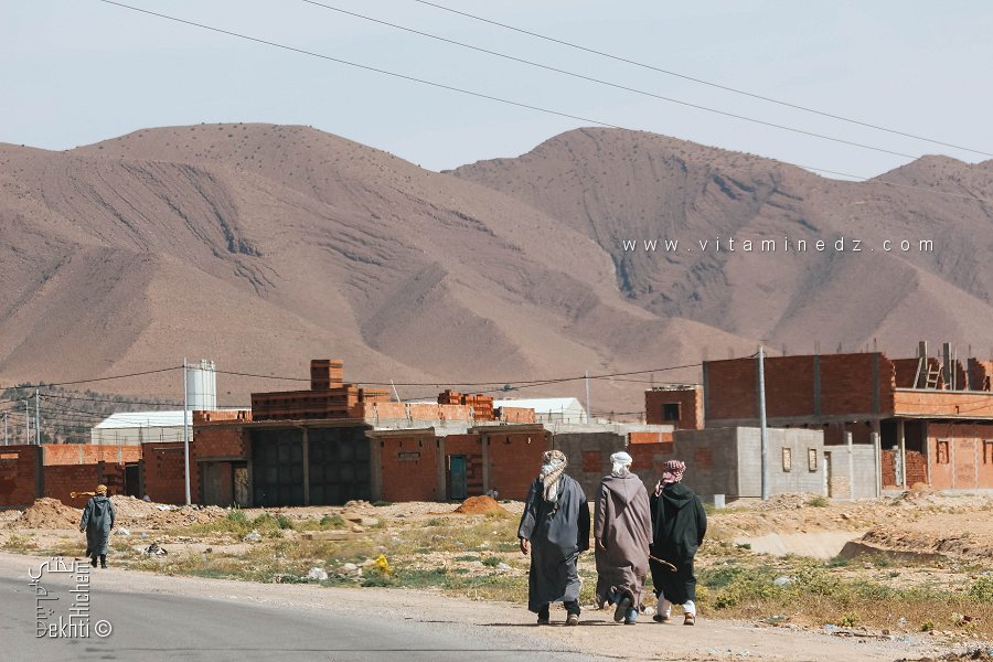 Les Hamyan (ou Hamyane) sont une tribu arabe de la région de Mécheria, dans la wilaya de Naâma en Algérie