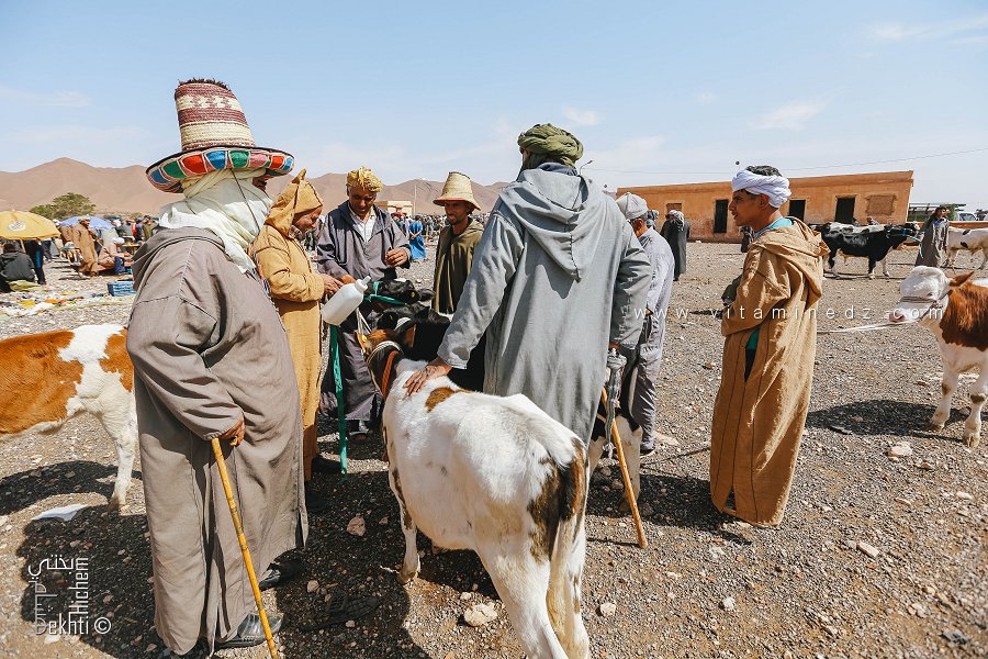 تاريخ وأصل قبيلة الحميان في مشرية