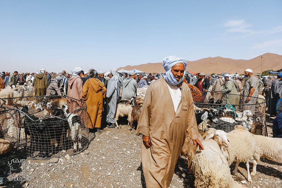 Histoire et origine des Hmiyanes (Hamyan) de Mécheria