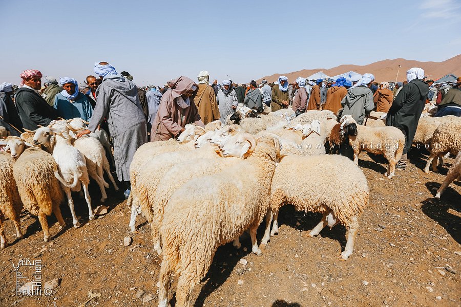 Marché des moutons pour l’Aïd el-Adha 2025 en Algérie : Contexte et enjeux