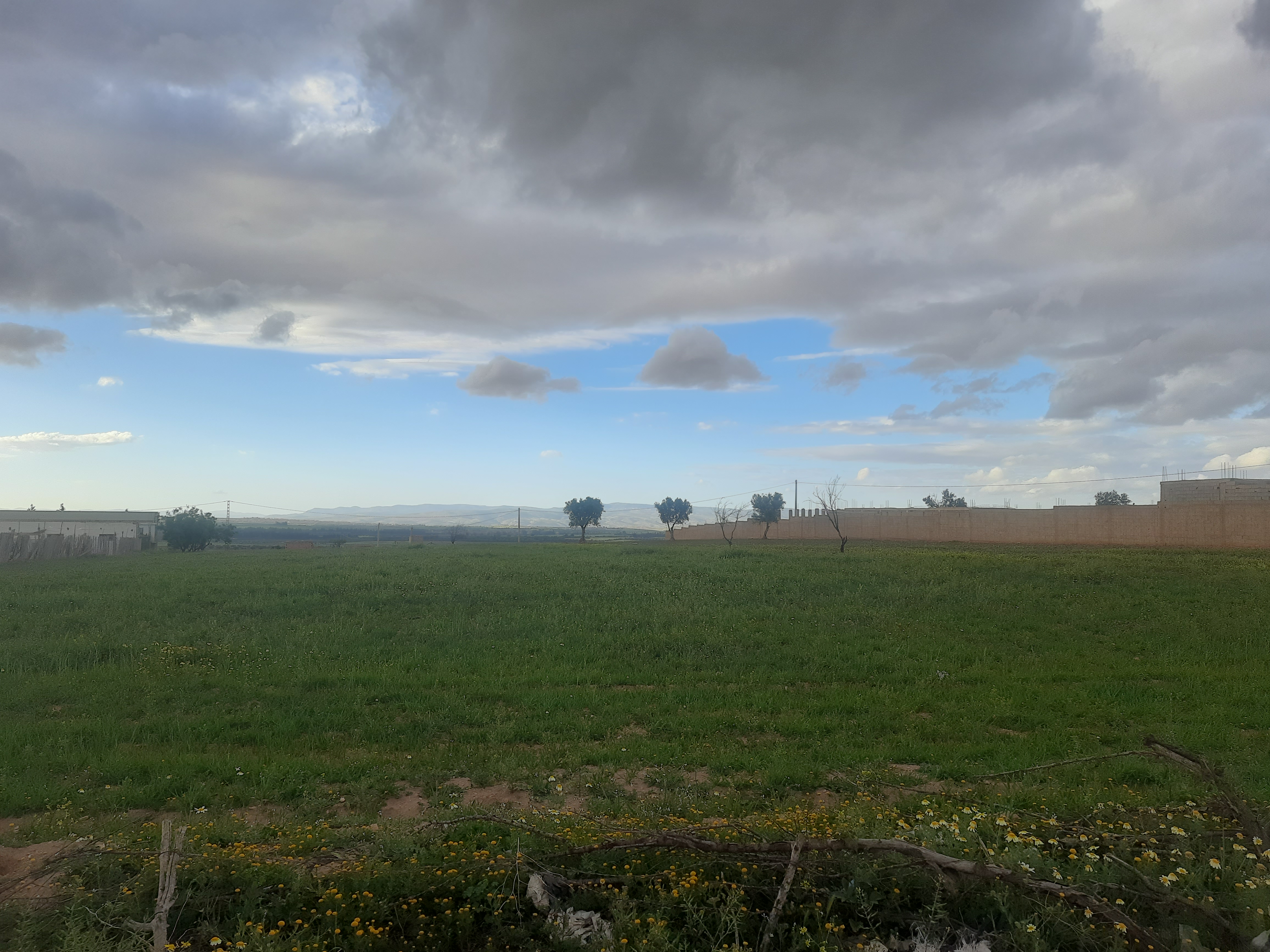 لسحب مخططات مسح الأراضي عبر الإنترنت، يمكنك اتباع الخطوات التالية بناءً على البلد والمنصة المستخدمة: